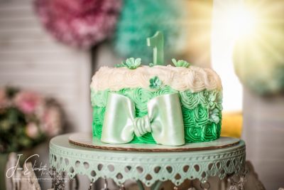 Cake Smash Portraits