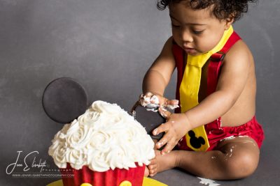 Cake Smash Portraits