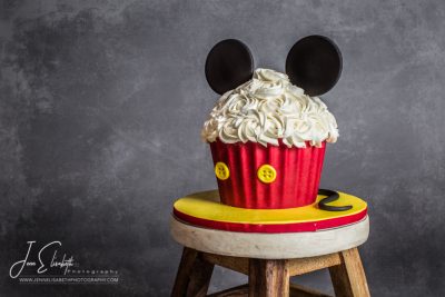 Cake Smash Portraits