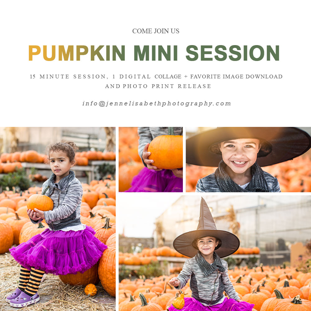 Pumpkin Mini Session