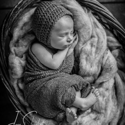 Newborn Portraits