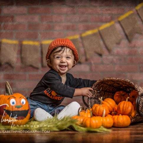 Little Pumpkin Patch Portraits